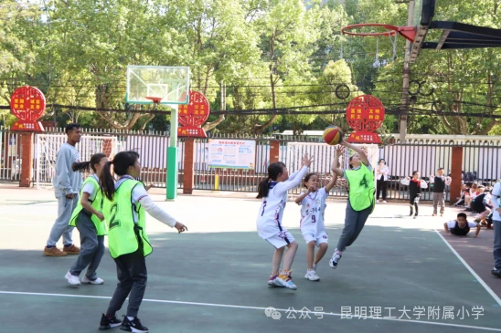 学生篮球主力如何平衡学业与训练_2